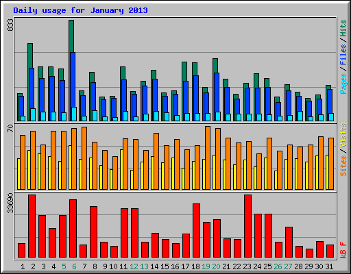 Daily usage for January 2013