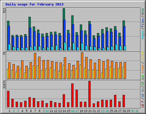 Daily usage for February 2013