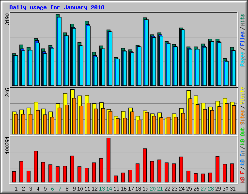 Daily usage for January 2018