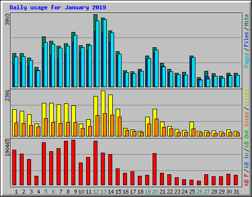 Daily usage for January 2019