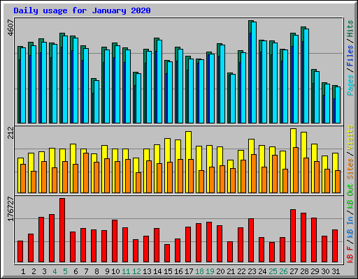 Daily usage for January 2020