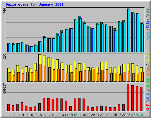 Daily usage for January 2021