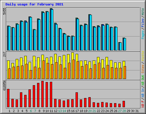 Daily usage for February 2021