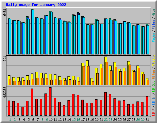 Daily usage for January 2022