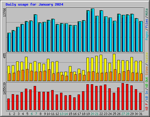 Daily usage for January 2024