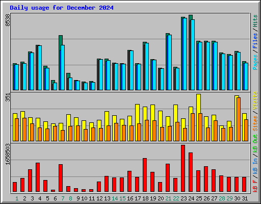 Daily usage for December 2024