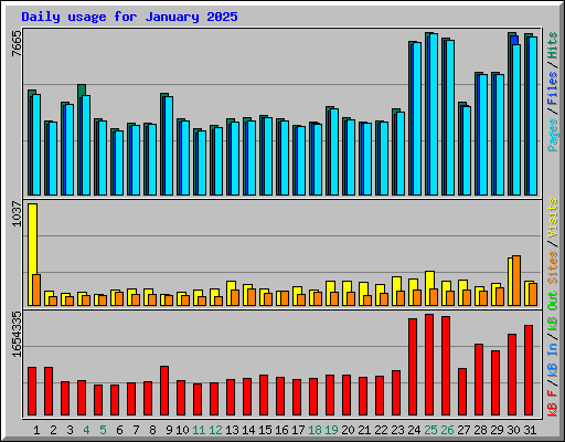Daily usage for January 2025