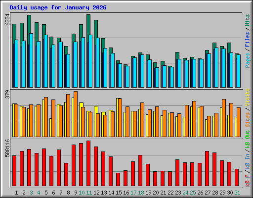 Daily usage for January 2026
