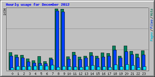 Hourly usage for December 2012