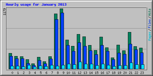 Hourly usage for January 2013