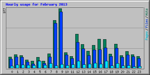 Hourly usage for February 2013