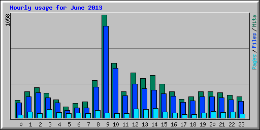 Hourly usage for June 2013