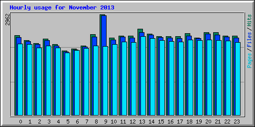 Hourly usage for November 2013