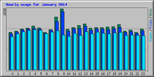 Hourly usage for January 2014