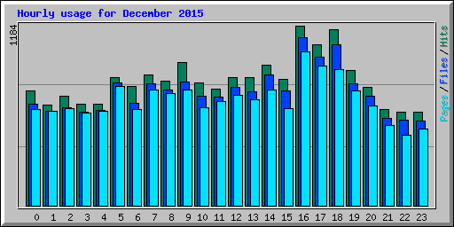 Hourly usage for December 2015