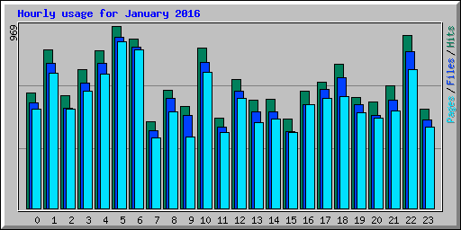 Hourly usage for January 2016