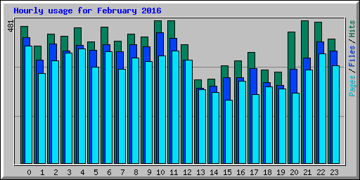 Hourly usage for February 2016