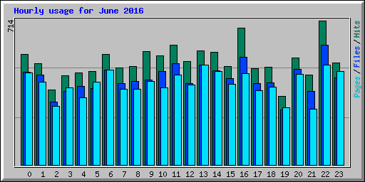 Hourly usage for June 2016