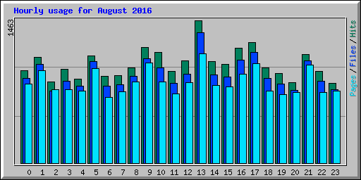 Hourly usage for August 2016