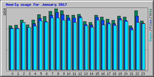 Hourly usage for January 2017