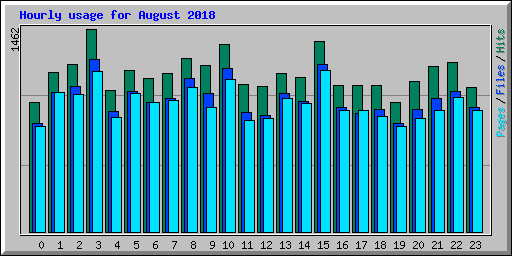 Hourly usage for August 2018