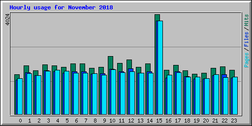 Hourly usage for November 2018