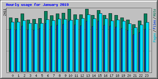 Hourly usage for January 2019