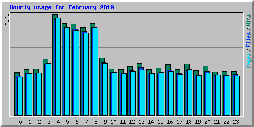 Hourly usage for February 2019