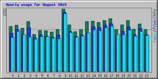 Hourly usage for August 2019