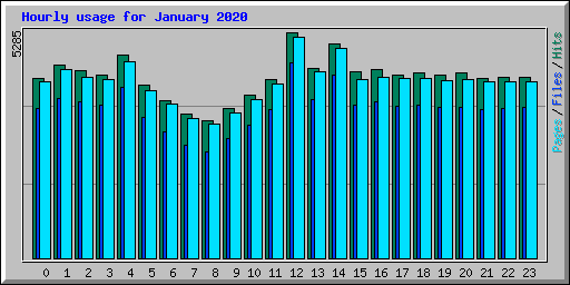 Hourly usage for January 2020