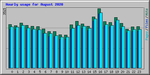 Hourly usage for August 2020