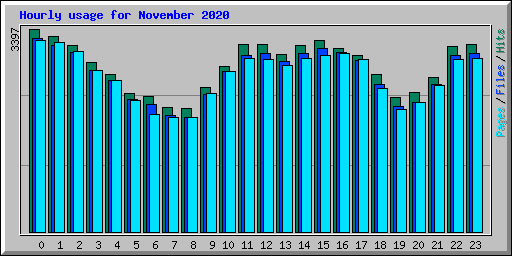 Hourly usage for November 2020