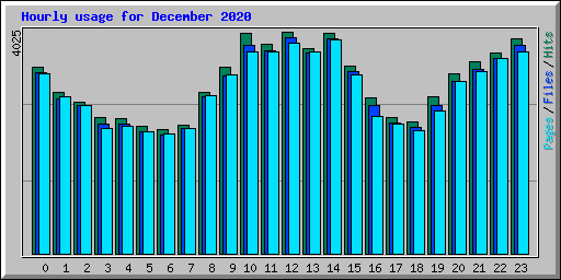 Hourly usage for December 2020