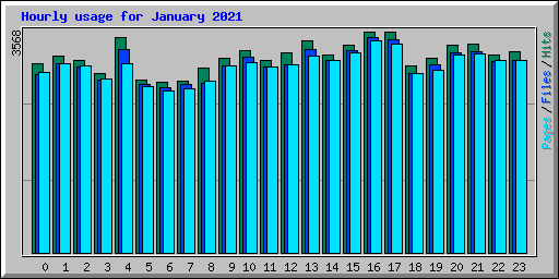 Hourly usage for January 2021