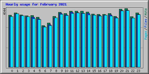 Hourly usage for February 2021