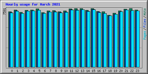 Hourly usage for March 2021