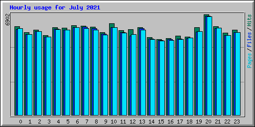 Hourly usage for July 2021