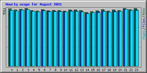 Hourly usage for August 2021