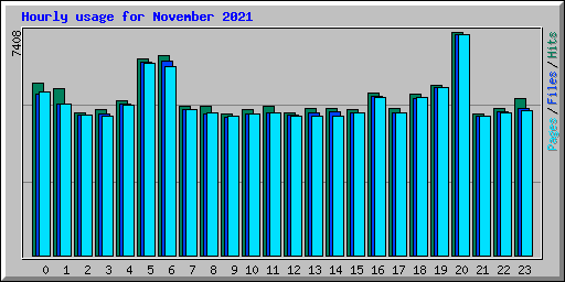 Hourly usage for November 2021