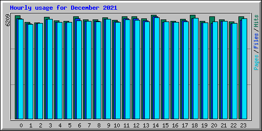 Hourly usage for December 2021