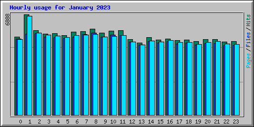 Hourly usage for January 2023