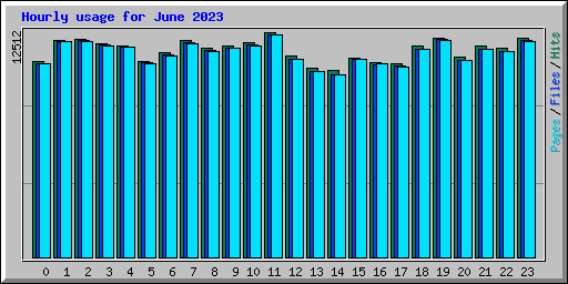 Hourly usage for June 2023