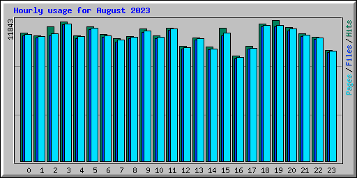 Hourly usage for August 2023