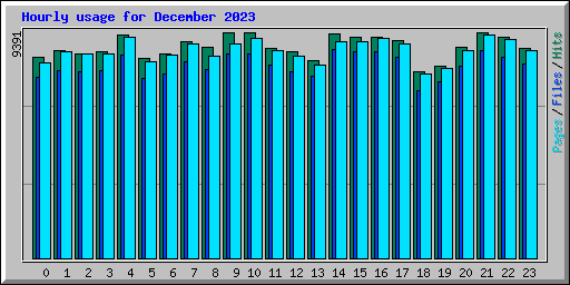 Hourly usage for December 2023