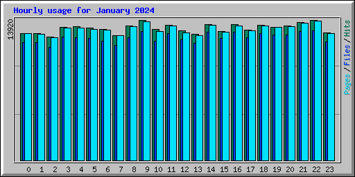 Hourly usage for January 2024