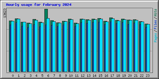 Hourly usage for February 2024