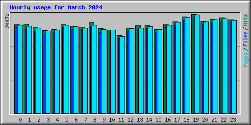 Hourly usage for March 2024