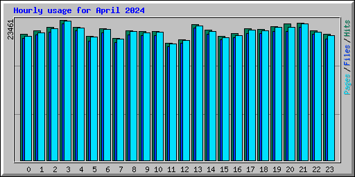Hourly usage for April 2024