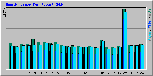 Hourly usage for August 2024