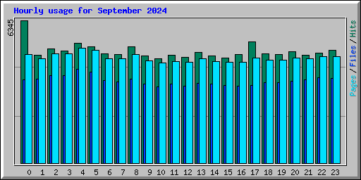 Hourly usage for September 2024